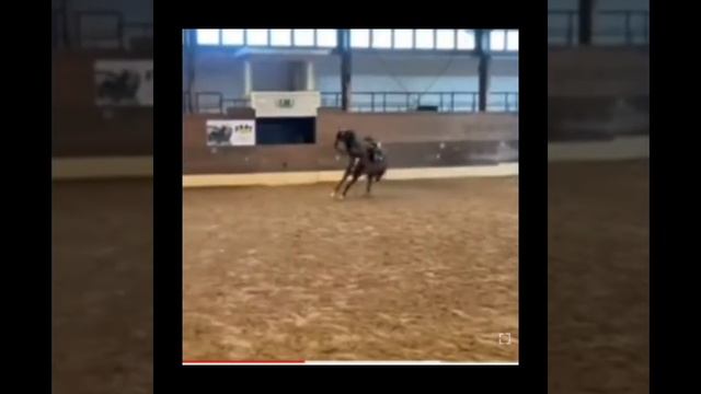 very hard jump over 🏇 смотреть онлайн