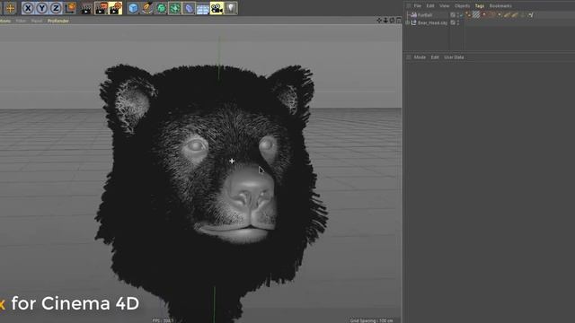 Ornatrix for Cinema 4D BETA Testing смотреть онлайн