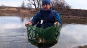 Ловля карпа на удочку и фидер! Ловля карпа по холодной воде!