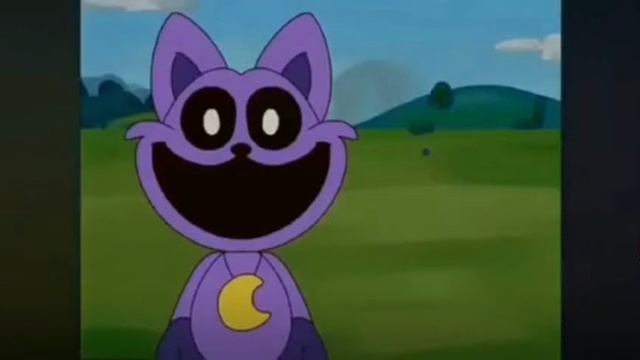 Cat Nap And Dog Day😀