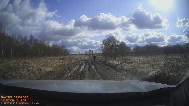 FILE250329-151855-000442 смотреть онлайн