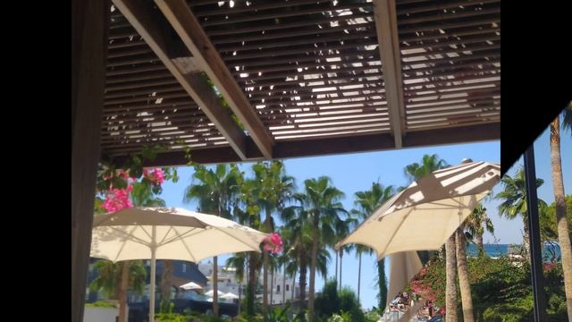 Trendy Palm Beach Otel 🏖️🌴