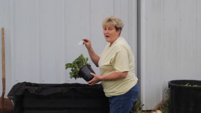 DIY Strawberry Pallet Container Garden смотреть онлайн