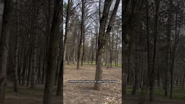 Малоэтажная застройка в Березовом