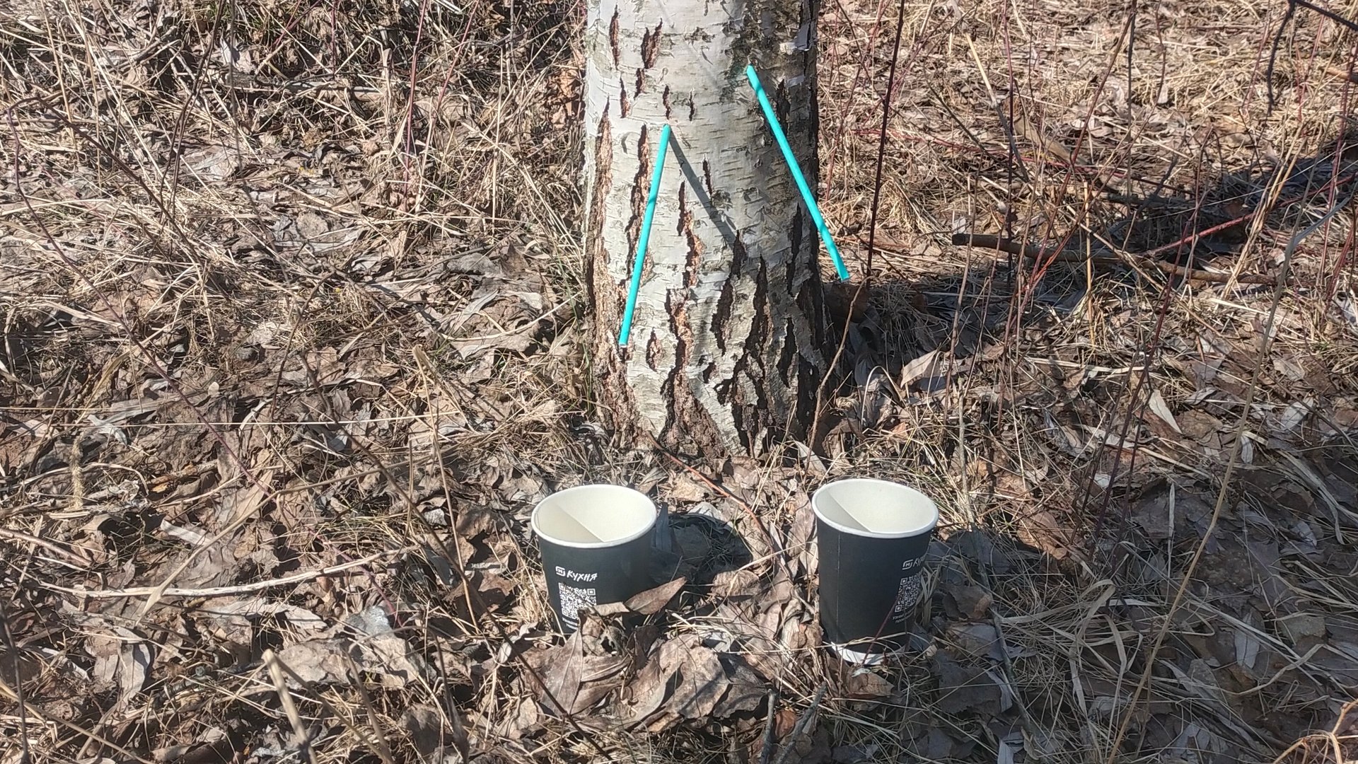 29-03-2025 старица и плоское во льду или нет смотреть онлайн