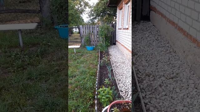 огород после дождя смотреть онлайн