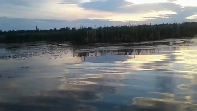 Натаска Рос по водоплавающие дичи. Лы смотреть онлайн