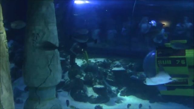 Леголенд Германия (морская жизнь) часть 7из7 смотреть онлайн