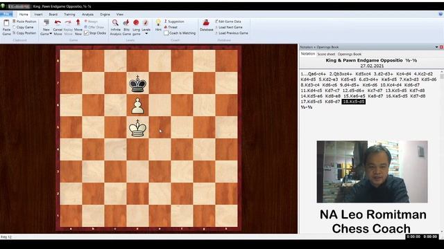 Basic King and Pawn Endgame смотреть онлайн