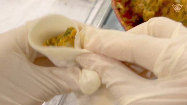 How To Make How To Make Pork With Hot Spicy Dumplings  #Hong Kong Food #Dumplings #Wonton #ASMR