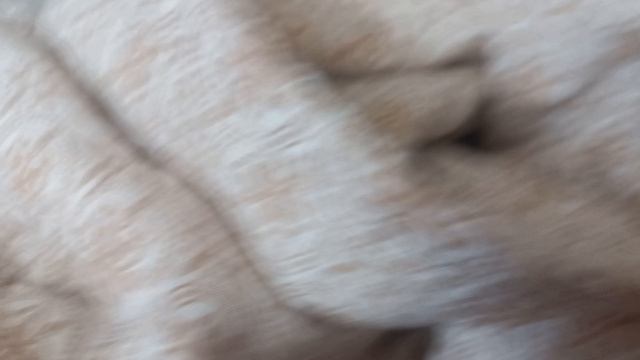 1000017822.mp4 смотреть онлайн