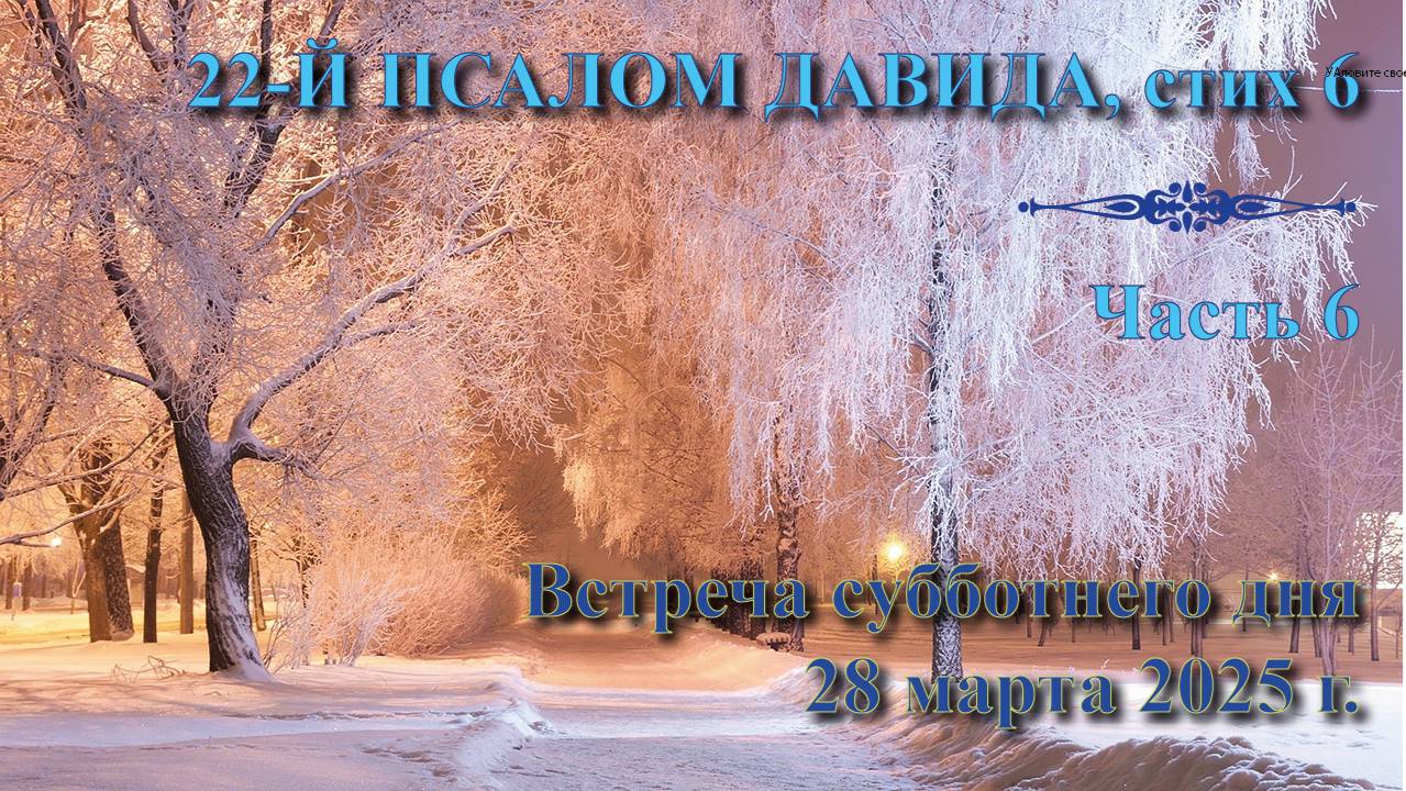 28.03.2025. Встреча субботы: пастор Владимир Вачев. Встреча 6. 22-й псалом Давида, стих 6. смотреть онлайн