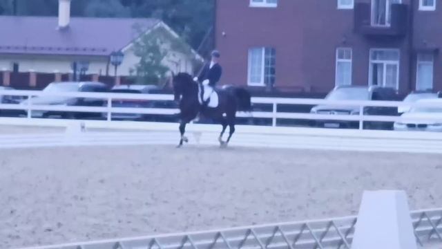 Внук Donnerhall. Юношеские езды. Арт.: 0011 смотреть онлайн