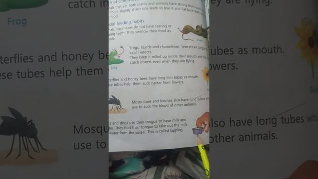 Class-3 Science (Lno.5) Food for animals смотреть онлайн