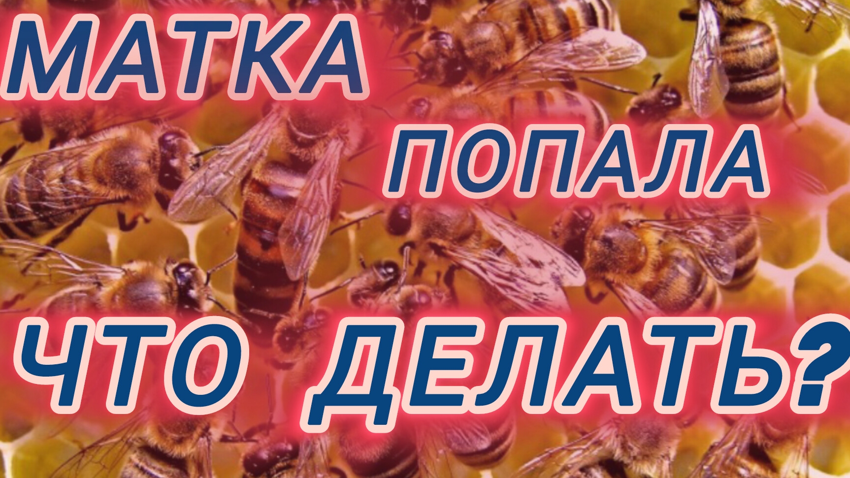 Матка пропала после Что делать? смотреть онлайн