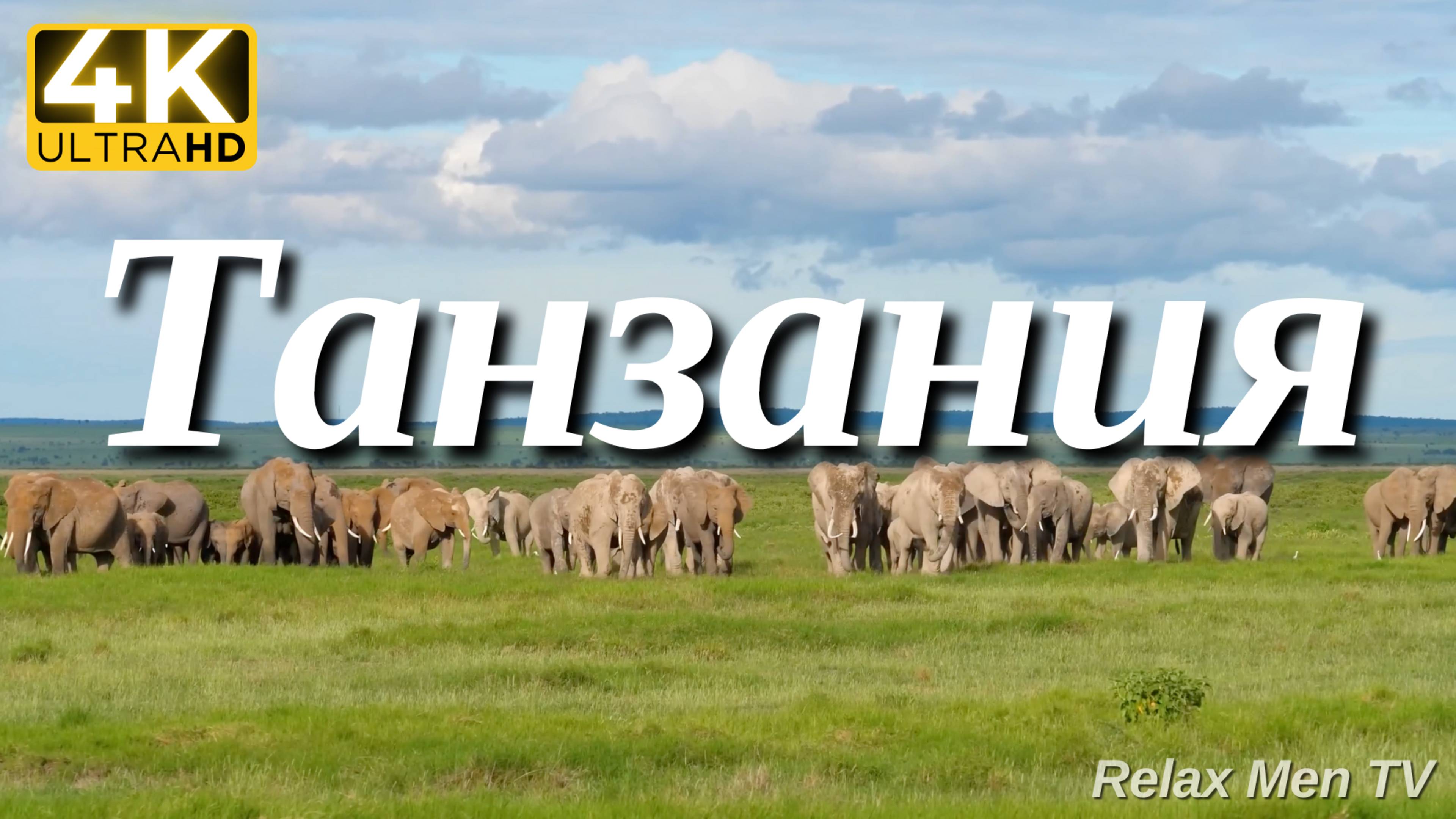 4К Танзания и Серенгети - Красивая природа и спокойная музыка которая подойдет для отдыха смотреть онлайн