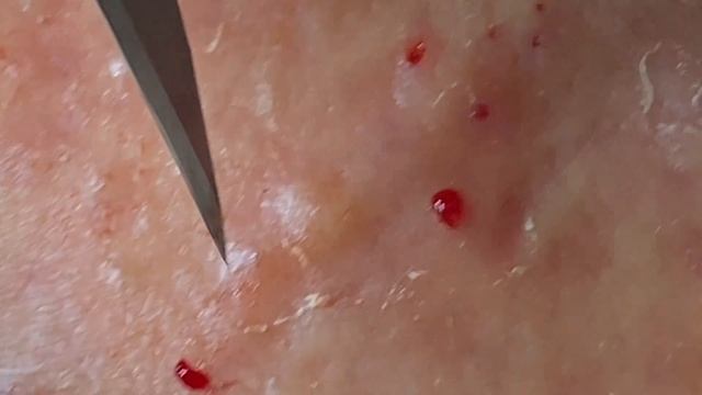 Relax Every Day #SacDepSpa561 смотреть онлайн