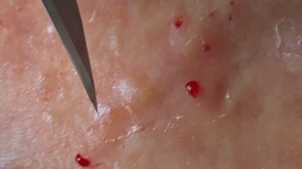 Relax Every Day #SacDepSpa561