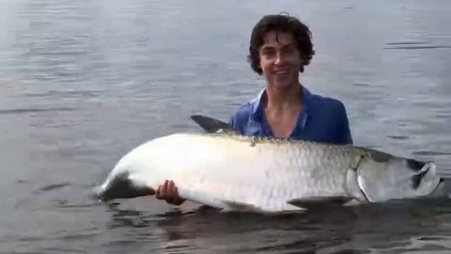 Tarpon Fishing, 6 15 18 смотреть онлайн