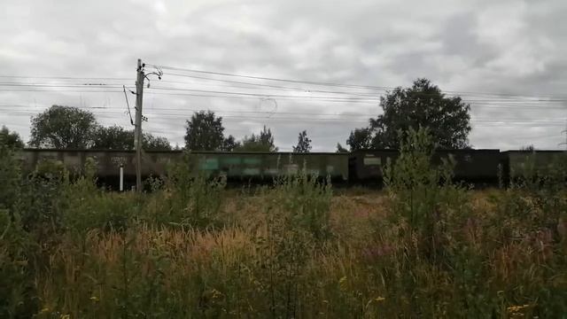 2ТЭ116-1199. Идёт с тяжёлым поездом с запада. Крутой подъём. Петрозаводск. смотреть онлайн