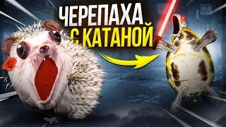 Дон хренобус кибер панк/старый сезон смотреть онлайн