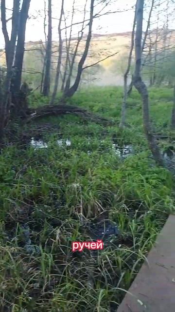 Самый маленький мост через самую маленькую реку смотреть онлайн