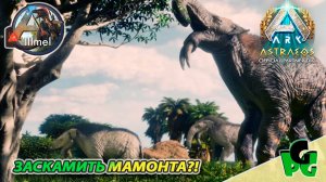 Заскамил Мамонта Дейнотерий приручение на сервере LLLmel #arksurvivalascended #deinotherium