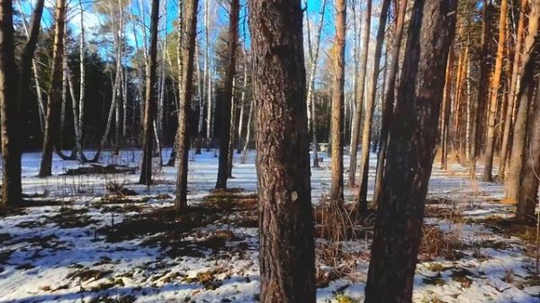 Meteor 75 Pro O4 Без желе