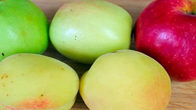 Книга рецептов