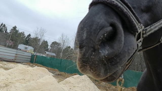 VID_20250328_151342.mp4