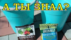 ОБЯЗАТЕЛЬНО! 🔥🔥🔥Обрабатываем сад бордоской жидкостью