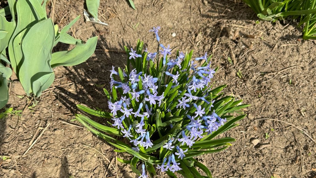 Ейск ! Работы на доме сбила и расстраила погода, НО ребята справились и всё прошло на отлично ! смотреть онлайн