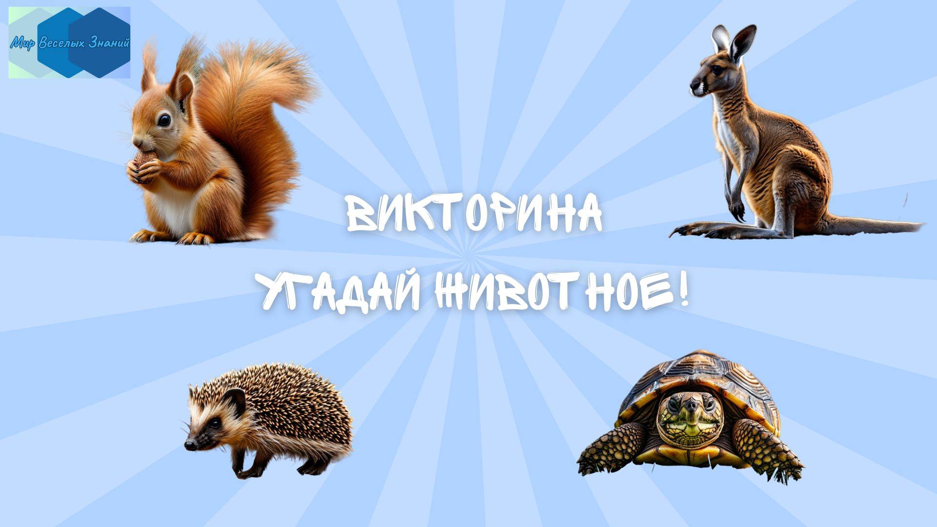 Викторина 