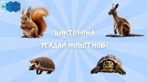 Викторина "Угадай животное!" 🦘🐧🦜🦒🐻