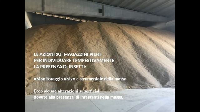 Riso in stoccaggio: Importanza Problematiche e Soluzioni | Moedi srl | Pest Management смотреть онлайн