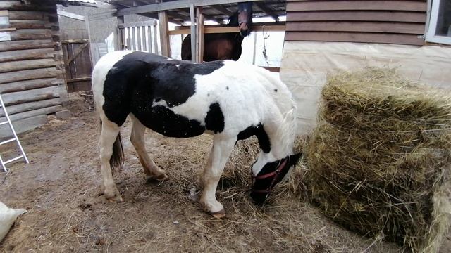 VID_20250328_155505.mp4