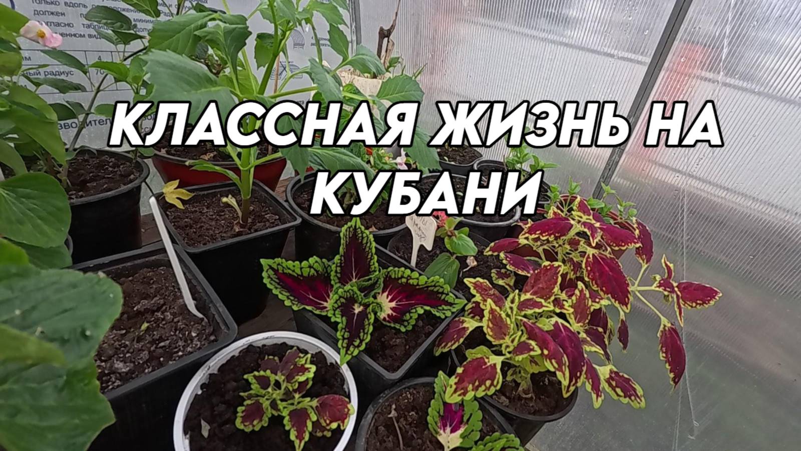 860 Жизнь после переезда на Кубань/Купили новый дом на юге смотреть онлайн