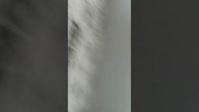 пирожок с начинкой