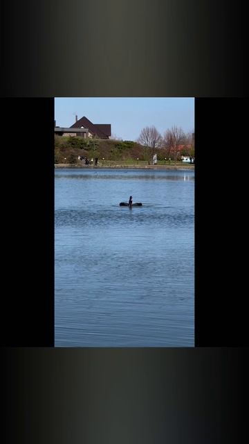 Немецкая деревня в Краснодаре