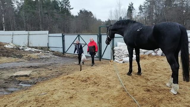 VID_20250328_153235.mp4