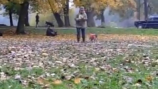 Милена и Лилу,новички смотреть онлайн
