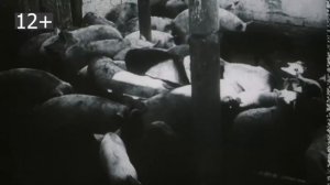 Видеоматериалы ко Дню единых действий 19 апреля 2021 года 1