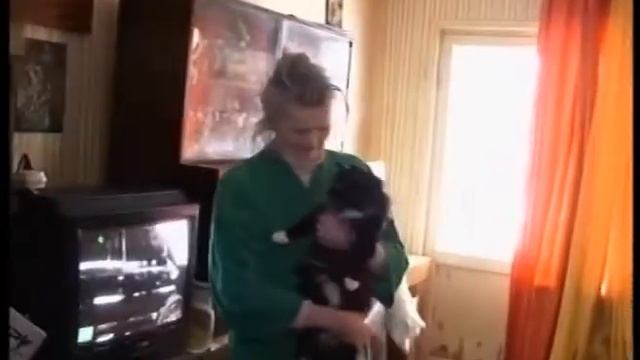 Кошки или выселение? смотреть онлайн