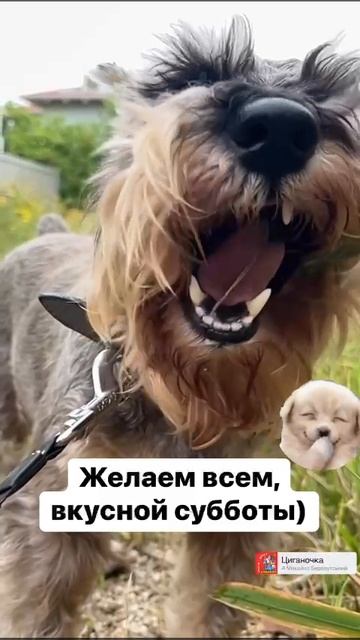 Моменты жизни