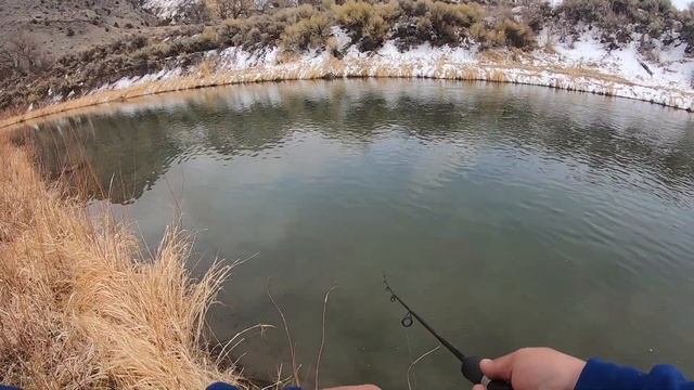 Chasing Big Trout with Spinners and Rapalas! смотреть онлайн