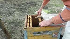 Начинаю весеннюю борьбу с клещом по своей схеме.