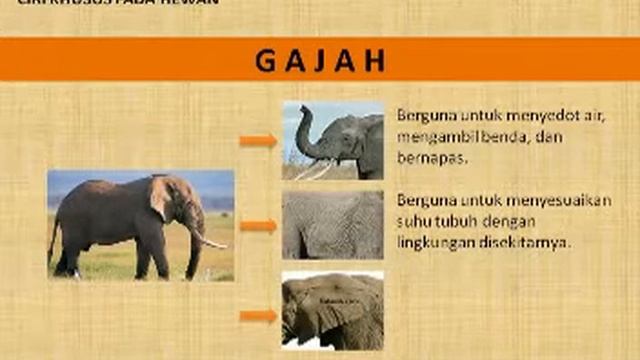 SDN 1 GEGESIK KIDUL sukirno смотреть онлайн