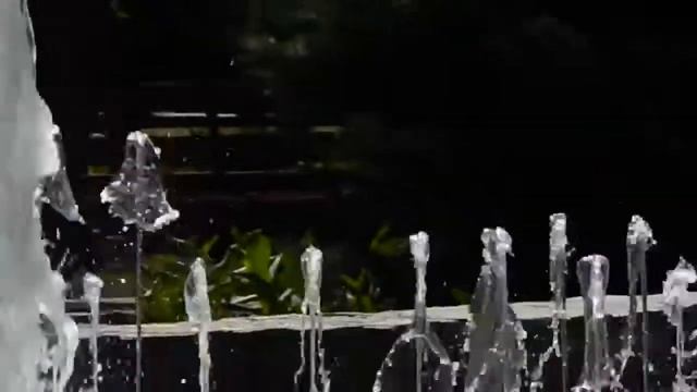 Born Up Art - Парк Руднева (My VIDEOSET)