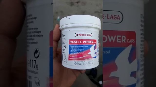 VERSELE-LAGA PRODUCT MUSCLE POWER FOR PIGEONS FEATHER #pigeon #kabootar #verselelaga #youtubevideo смотреть онлайн