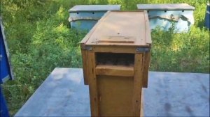 VID_20250329_201419_837.mp4